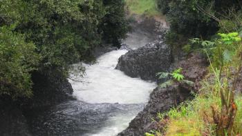 Amazing Planet TV: Scene #2