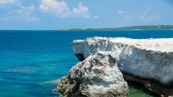 Amazing Planet TV: Scene #3