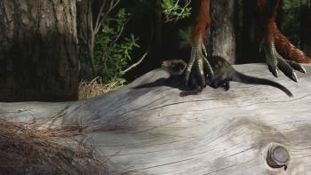 Ancient Earth: Early mammals!