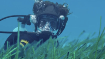 Andy’s Aquatic Adventures TV Series: Andy diving underwater. 
