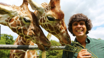 Andy's Baby Animals: Feeding baby giraffes. 