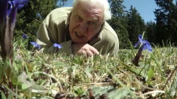 David Attenborough's Ant Mountain TV Show: Scene #1