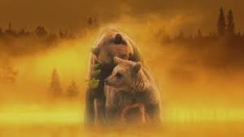 Brown Bears-Teddy Bear Picnic Scene 3