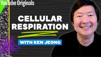 Celebrity Substitute TV Show: Scene 1