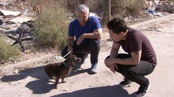 Cesar Millan’s Dog Nation TV Show: Scene #1