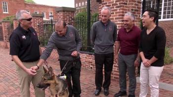 Cesar Millan’s Dog Nation TV Show: Scene #2