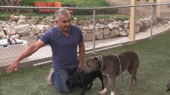 Cesar Millan’s Dog Nation TV Show: Scene #3