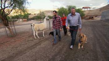 Cesar Millan’s Dog Nation TV Show: Scene #4