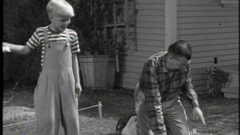 Dennis the Menace TV Show: Dennis 'helps' Mr. Wilson with his garden