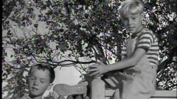 Dennis the Menace TV Show: Dennis sits on top of a fence