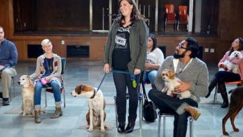 Downward Dog TV Show: Scene #2