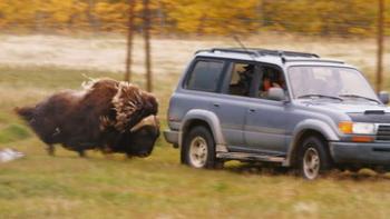 Dr. Oakley Yukon Vet TV Series: Scene #4