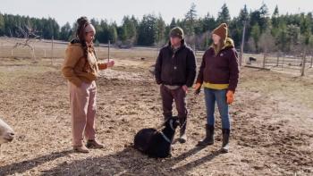 Farm Dreams TV Show: Farming expert Indy Officinalis talks to a couple in a farm field