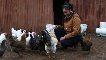 Farm Dreams TV Show: Indy Officinalis, a female Black farmer, feeds chickens