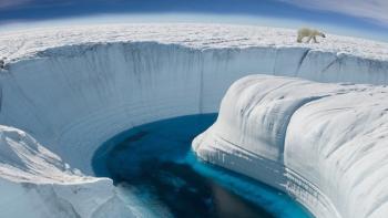 Frozen Planet TV Show: Scene #1