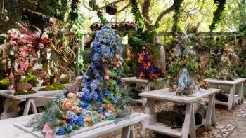 Full Bloom TV Show: A competition show that focuses on flowers