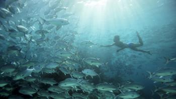 Human Planet TV Show: Scene #2