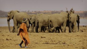 Human Planet TV Show: Scene #3