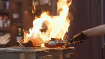 Iron Chef: Quest for an Iron Legend TV Show: Firing up the food!