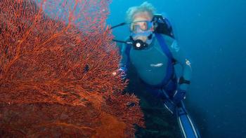 Jean-Michel Cousteau's Ocean Adventures TV Show: Scene #1