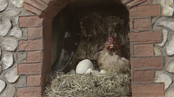 A big egg was laid. 