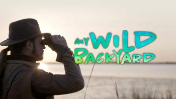 My Wild Backyard TV Show: Scene #1