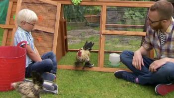 My Pet and Me TV Show: Meeting some chickens