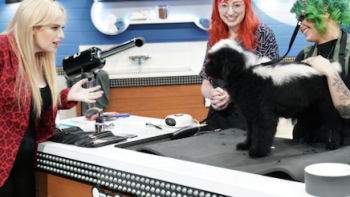 Looking at a transformation. 