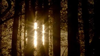 Rivers Lifeblood TV Show: Scene 4