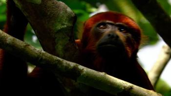 Rivers Lifeblood TV Show: Scene 5