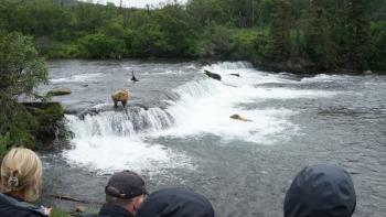 Rock the Park: Scene of a river