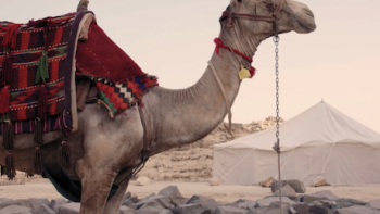 Scanning the Pyramids TV: Scene #3