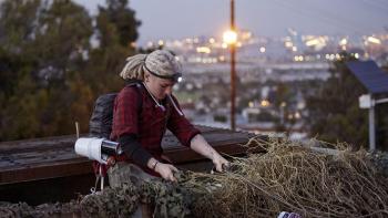 Street Art Throwdown