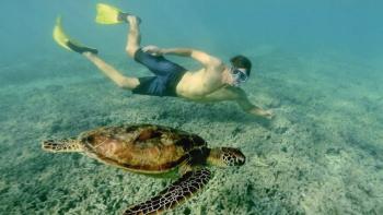 The Open Road With Dr. Chris TV Show: Scene #1