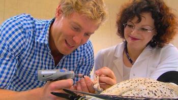 The Open Road With Dr. Chris TV Show: Scene #2