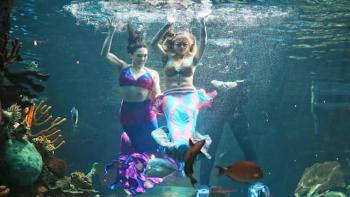 The Twins: Happily Ever After? TV Show: Scene #4