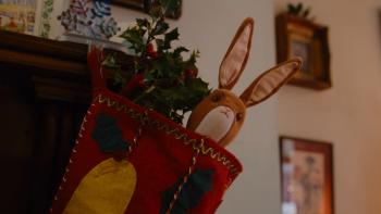 Velveteen Rabbit TV: a stuffed animal bunny peeks out from a Christmas stocking