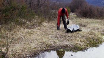 The Wheel TV Show: Scavenging for food