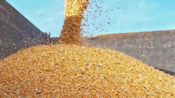 The History of Food TV Show: Scene #3, Fermentation, Preservation and ExplorationThe Industry of Food