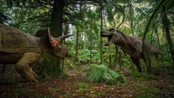 Walking with Dinosaurs TV Show screenshot 3: a T. rex and triceratops fight