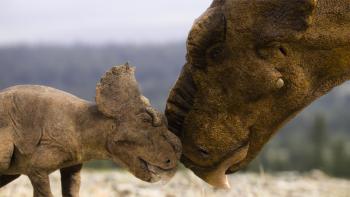 Walking with Dinosaurs TV Show screenshot 2: realistic baby triceratops nuzzles a larger dinosaur