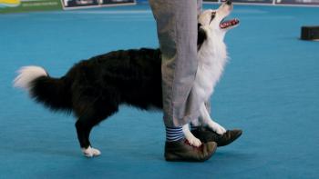  wearethechampions-tv-screenshot4