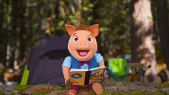 Wowsabout! TV: Ronald sits at a tree log with his notebook in his lap and camping gear in the back.
