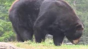 Xploration Animal Science TV Show: Scene #1