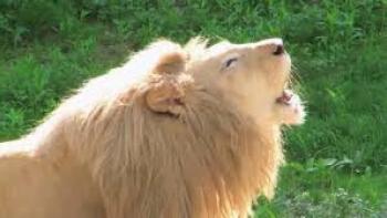 Xploration Animal Science TV Show: Scene #4