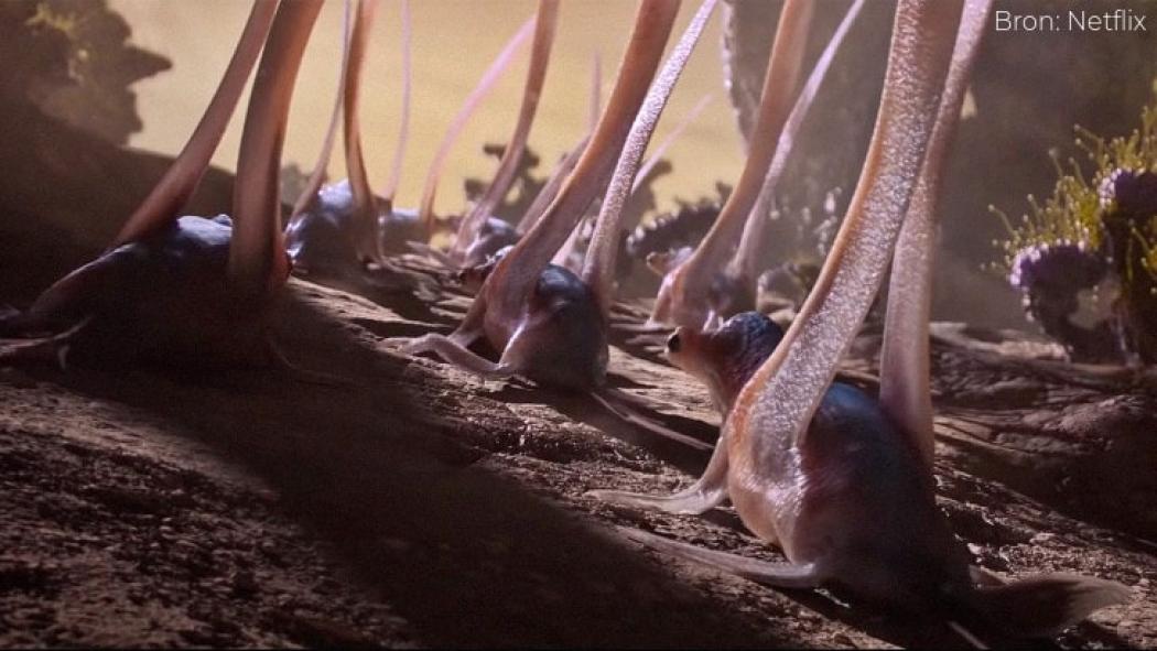 Alien Worlds - Parents' Guide & TV Review | Common Sense Media