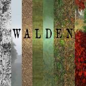 Portada del videojuego Walden, A Game
