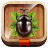 Imagen de la aplicacion Meet the Insects: Forest Edition