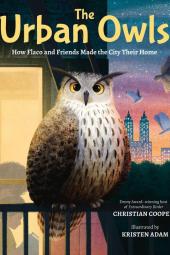 The Urban Owls book cover: An owl sits on a balcony rail with a girl inside the window and the city skyline in the distance
