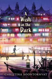 A Wish in the Dark Poster Image